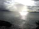 ./images/koeye/fitz-hugh/20150331/fitz-hugh20150331_180301.jpg