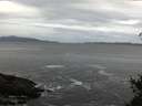 ./images/koeye/fitz-hugh/20150402/fitz-hugh20150402_080302.jpg