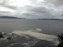 ./images/koeye/fitz-hugh/20150403/fitz-hugh20150403_120303.jpg