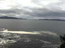 ./images/koeye/fitz-hugh/20150403/fitz-hugh20150403_122102.jpg