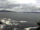 ./images/koeye/fitz-hugh/20150403/fitz-hugh20150403_123302.jpg