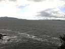 ./images/koeye/fitz-hugh/20150404/fitz-hugh20150404_121801.jpg
