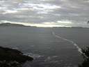 ./images/koeye/fitz-hugh/20150405/fitz-hugh20150405_080302.jpg