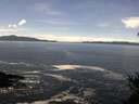 ./images/koeye/fitz-hugh/20150405/fitz-hugh20150405_120303.jpg