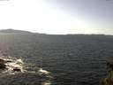 ./images/koeye/fitz-hugh/20150407/fitz-hugh20150407_140302.jpg