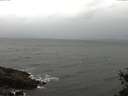 ./images/koeye/fitz-hugh/20150410/fitz-hugh20150410_122102.jpg