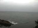 ./images/koeye/fitz-hugh/20150410/fitz-hugh20150410_122702.jpg