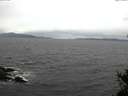 ./images/koeye/fitz-hugh/20150410/fitz-hugh20150410_160301.jpg