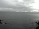 ./images/koeye/fitz-hugh/20150410/fitz-hugh20150410_180302.jpg