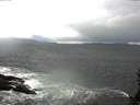 ./images/koeye/fitz-hugh/20150411/fitz-hugh20150411_100302.jpg