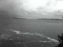 ./images/koeye/fitz-hugh/20150412/fitz-hugh20150412_060303.jpg
