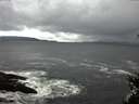 ./images/koeye/fitz-hugh/20150412/fitz-hugh20150412_120303.jpg