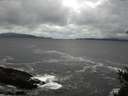 ./images/koeye/fitz-hugh/20150412/fitz-hugh20150412_121803.jpg