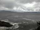 ./images/koeye/fitz-hugh/20150412/fitz-hugh20150412_122701.jpg