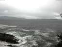 ./images/koeye/fitz-hugh/20150412/fitz-hugh20150412_140302.jpg