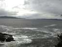 ./images/koeye/fitz-hugh/20150412/fitz-hugh20150412_160302.jpg