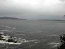 ./images/koeye/fitz-hugh/20150412/fitz-hugh20150412_180303.jpg