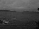 ./images/koeye/fitz-hugh/20150413/fitz-hugh20150413_060303.jpg