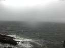 ./images/koeye/fitz-hugh/20150413/fitz-hugh20150413_160302.jpg