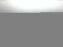 ./images/koeye/fitz-hugh/20150415/fitz-hugh20150415_060302.jpg