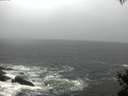 ./images/koeye/fitz-hugh/20150416/fitz-hugh20150416_080301.jpg
