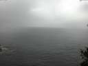./images/koeye/fitz-hugh/20150416/fitz-hugh20150416_120302.jpg