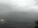 ./images/koeye/fitz-hugh/20150416/fitz-hugh20150416_121803.jpg