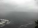 ./images/koeye/fitz-hugh/20150416/fitz-hugh20150416_122103.jpg