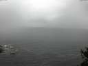 ./images/koeye/fitz-hugh/20150416/fitz-hugh20150416_122702.jpg