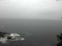 ./images/koeye/fitz-hugh/20150416/fitz-hugh20150416_140302.jpg