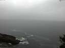 ./images/koeye/fitz-hugh/20150416/fitz-hugh20150416_160301.jpg