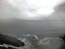 ./images/koeye/fitz-hugh/20150417/fitz-hugh20150417_060302.jpg