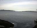 ./images/koeye/fitz-hugh/20150418/fitz-hugh20150418_080303.jpg