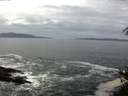 ./images/koeye/fitz-hugh/20150420/fitz-hugh20150420_122401.jpg