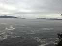 ./images/koeye/fitz-hugh/20150420/fitz-hugh20150420_140302.jpg