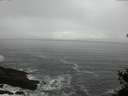 ./images/koeye/fitz-hugh/20150421/fitz-hugh20150421_080303.jpg