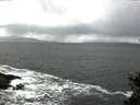 ./images/koeye/fitz-hugh/20150422/fitz-hugh20150422_140302.jpg