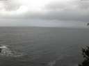 ./images/koeye/fitz-hugh/20150423/fitz-hugh20150423_060302.jpg