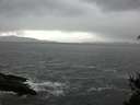 ./images/koeye/fitz-hugh/20150423/fitz-hugh20150423_140302.jpg