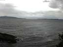 ./images/koeye/fitz-hugh/20150426/fitz-hugh20150426_122102.jpg