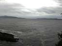 ./images/koeye/fitz-hugh/20150426/fitz-hugh20150426_122401.jpg