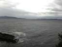./images/koeye/fitz-hugh/20150426/fitz-hugh20150426_123302.jpg