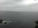 ./images/koeye/fitz-hugh/20150427/fitz-hugh20150427_080302.jpg