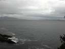 ./images/koeye/fitz-hugh/20150427/fitz-hugh20150427_121802.jpg