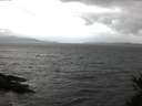./images/koeye/fitz-hugh/20150428/fitz-hugh20150428_060302.jpg