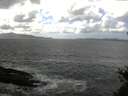 ./images/koeye/fitz-hugh/20150428/fitz-hugh20150428_140302.jpg