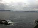 ./images/koeye/fitz-hugh/20150429/fitz-hugh20150429_080301.jpg