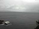 ./images/koeye/fitz-hugh/20150429/fitz-hugh20150429_121803.jpg