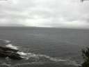 ./images/koeye/fitz-hugh/20150429/fitz-hugh20150429_140302.jpg