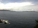 ./images/koeye/fitz-hugh/20150503/fitz-hugh20150503_122401.jpg